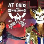 At Odds With Wrestling Episode 287 – Attractive Nuisance
