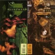 Todd & Joe Have Issues – Sandman 63 & 64