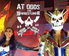 At Odds With Wrestling Episode 287 – Attractive Nuisance
