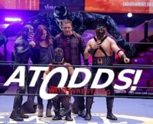 At Odds With Wrestling Episode 313 – A Series of Down Endings